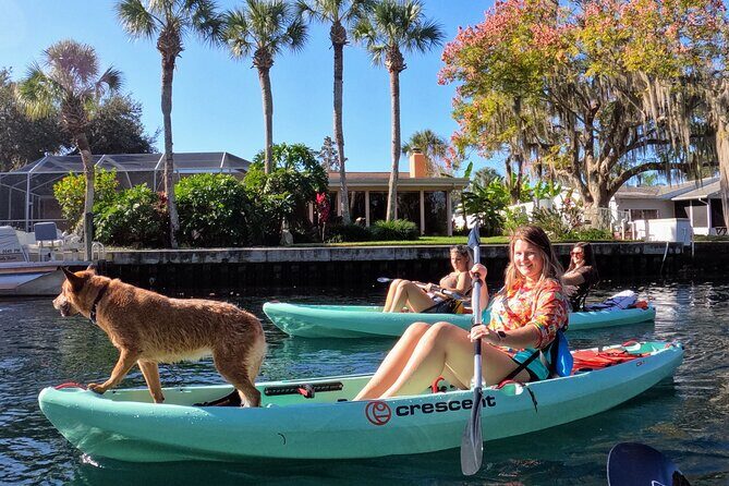 Premium Single Kayak Rental In Crystal River, Florida - The Value of the Experience