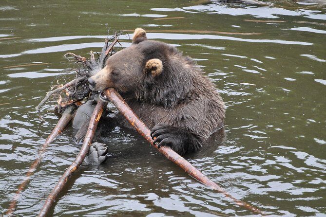 PREMIUM Sitka Scenic Tour - The Itinerary: What You’ll Experience