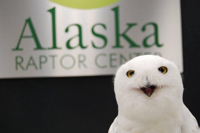 PREMIUM Sitka Scenic Tour - Practical Considerations