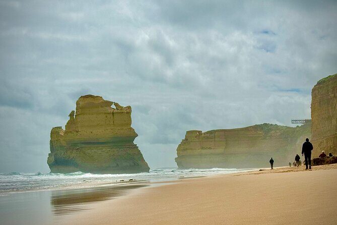 Premium Small Group Great Ocean Road & Wildlife with Lunch - The Sum Up: Who Will Love This Tour?