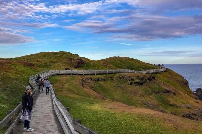 Premium Small Group Philip Island eco Tour - Who Will Love This Tour?