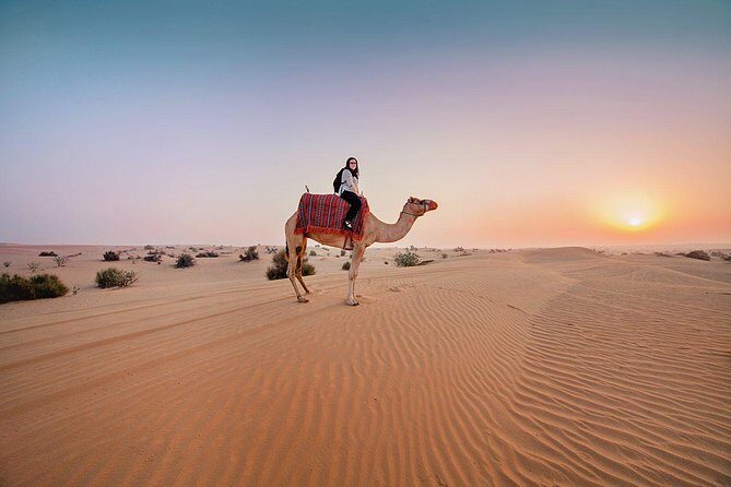 Premium Sundowner Red Dunes & Camel Safari with BBQ Dinner - Key Points
