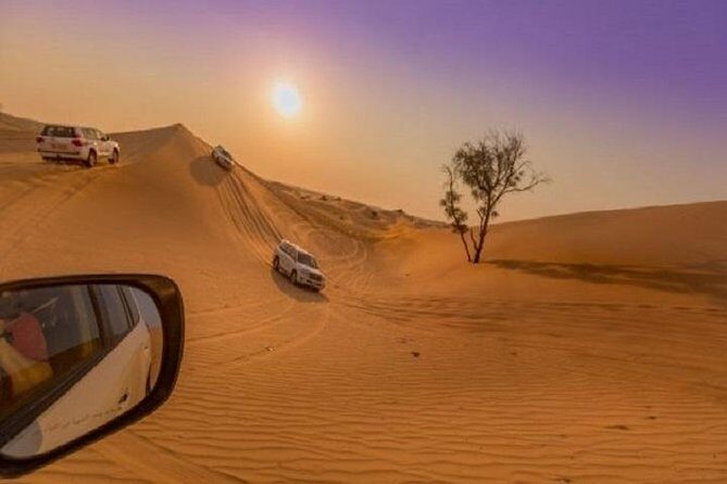 Premium Sundowner Red Dunes & Camel Safari with BBQ Dinner - What Makes This Tour Stand Out?