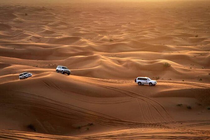 Premium Sundowner Red Dunes & Camel Safari with BBQ Dinner - Final Thoughts on Value and Suitability