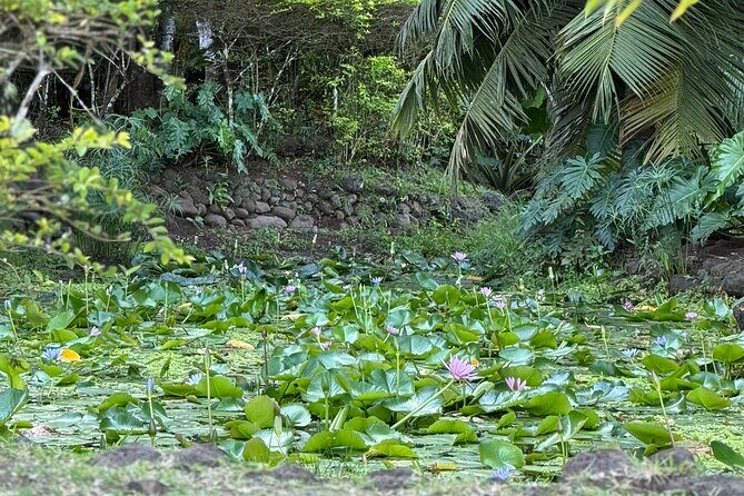 Premium Tour DE Tahiti, EN Half Day Privatised - A Closer Look at the Itinerary