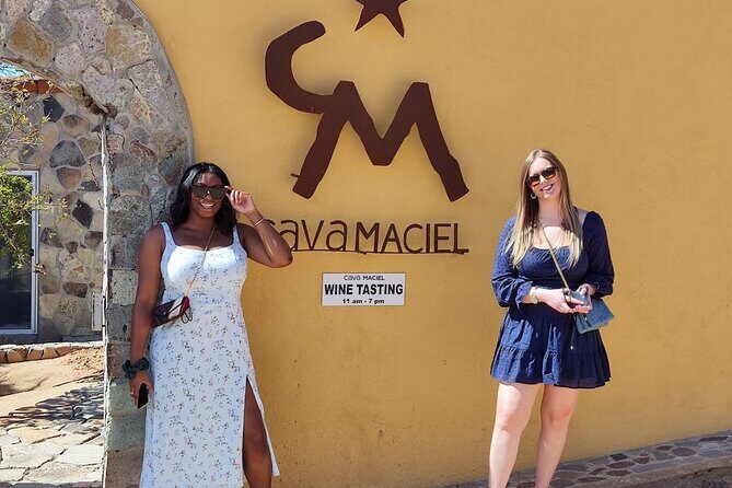 Premium Valle de Guadalupe Wine and Food Tour - Authentic Experiences and Practical Details