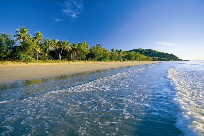 Premium Van, Private Transfer, Cairns Airport - Port Douglas. - The Sum Up: Who Is This Transfer Best For?