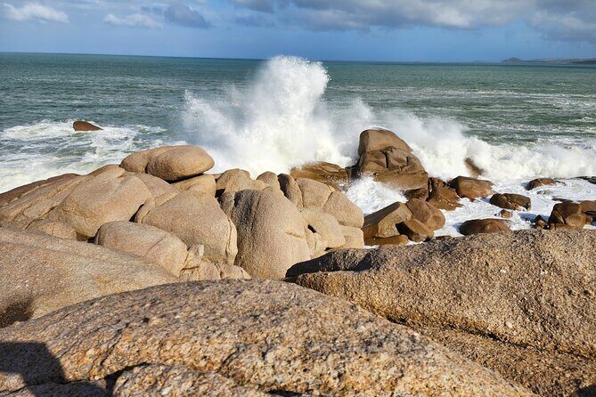Premium Victor Harbor, Port Elliot and d'Arenberg Minibus Tour - Practical Details and Value