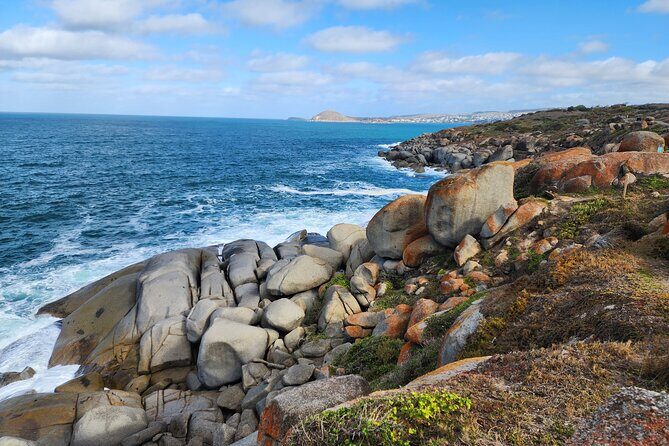 Premium Victor Harbor, Port Elliot and d'Arenberg Minibus Tour - Authenticity and Customer Feedback