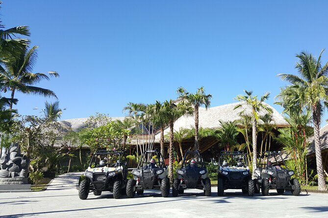 Premium White Water Rafting and Jungle Buggies in Bali - Authentic Experiences and Honest Insights from Travelers