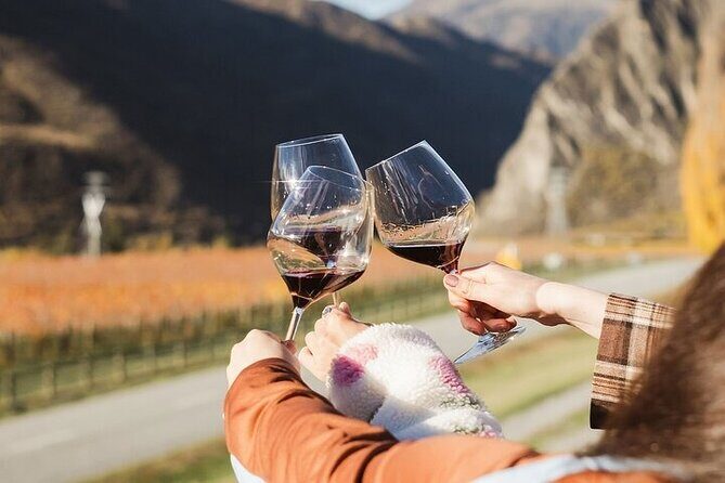 Premium Wine Tour Queenstown Tasting at 4 Wineries - Who Should Consider This Tour?