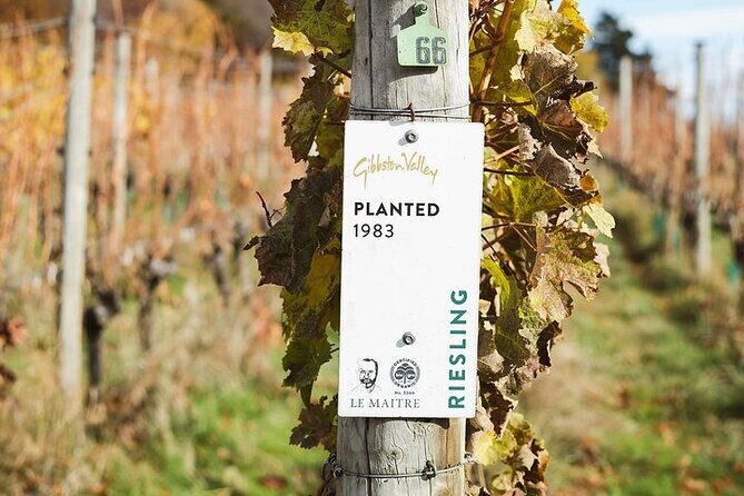 Premium Wine Tour Queenstown Tasting at 4 Wineries - The Sum Up