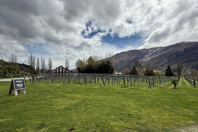 Premium Wine Tour Queenstown Tasting at 4 Wineries - FAQ