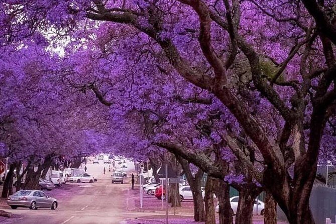 Pretoria City Guided Day Tour - The Transportation and Overall Value