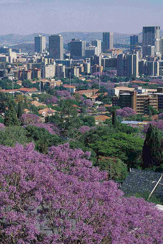 Pretoria City Tour - The Sum Up