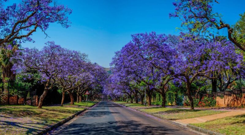 Pretoria: Half-Day City Tour - The Value of the Tour