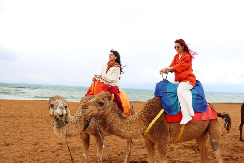 Price: Day trip to Tangier by ferry with lunch and tour guide - Final Thoughts: Is It Worth It?