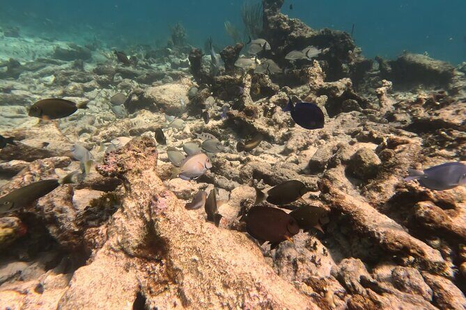 Prickly Pear Catamaran Trip from St Maarten Including Lunch - FAQ