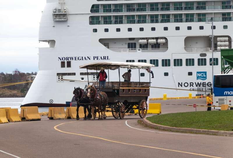 Prince Edward Island: Horse-Drawn Carriage Tour - What Makes This Tour Stand Out?