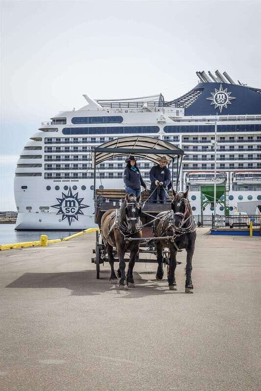 Prince Edward Island: Horse-Drawn Carriage Tour - Practical Details and Tips