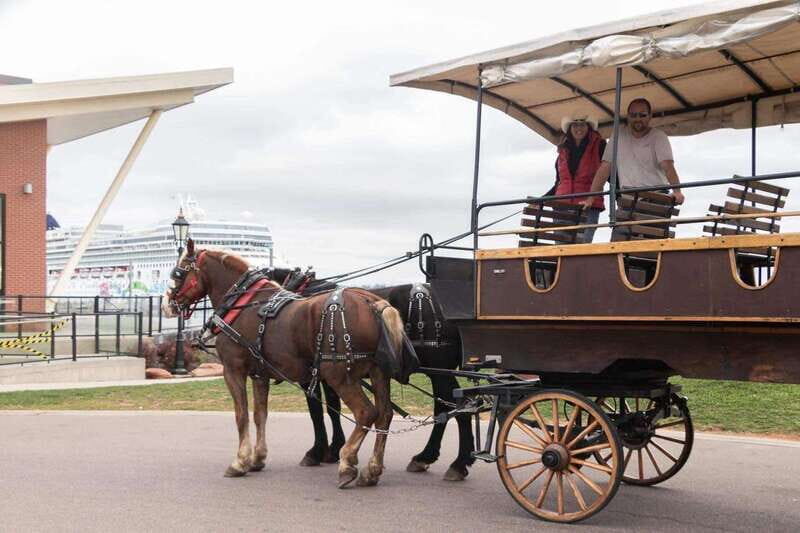 Prince Edward Island: Horse-Drawn Carriage Tour - Authenticity and Family-Friendliness