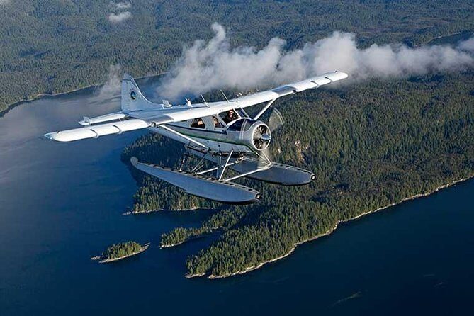 Prince of Wales Island Bear-Viewing Tour By Air From Ketchikan - The Experience — In Depth