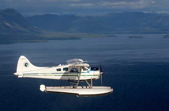 Prince of Wales Island Bear-Viewing Tour By Air From Ketchikan - Why This Tour Works for You