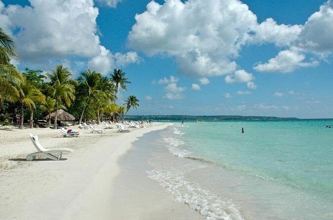 Princess Grand/Senses Mangrove Airport Transfer from Montego Bay - Review Snippets that Speak Volumes