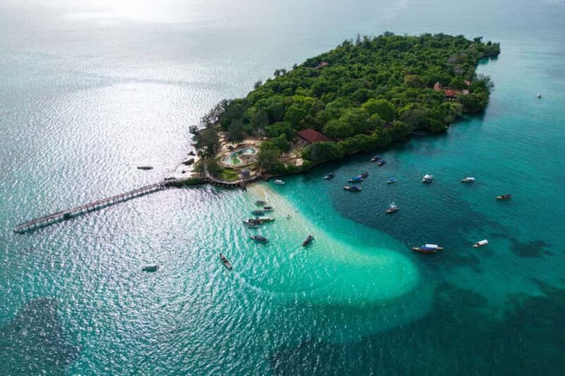 Prison island Algebra tortoise & Nakupenda ( SANDBANK) - FAQs