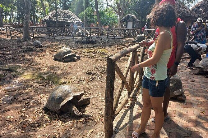 Prison Island and Stone Town Private Tour - Final Thoughts