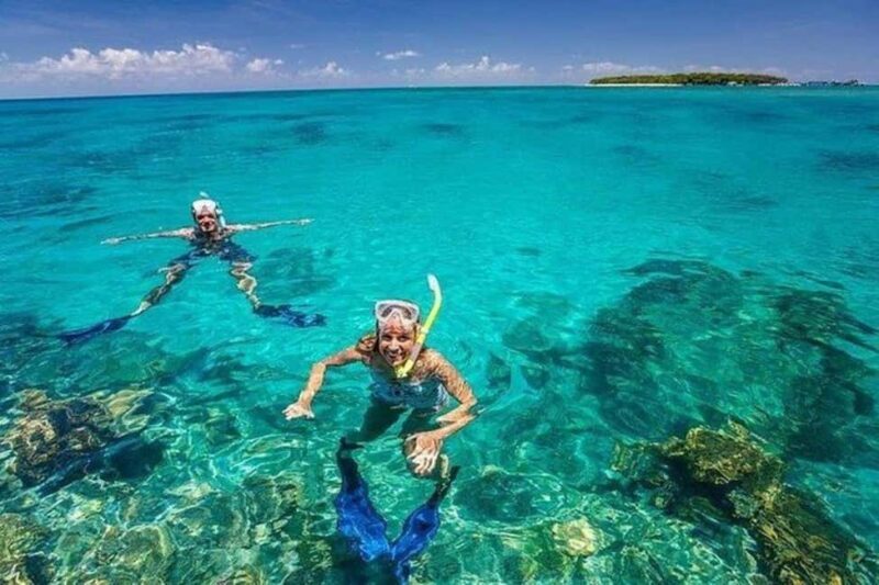 Prison Island & Bawe Island Snorkeling Day Trip - Authentic Experiences and What Travelers Say
