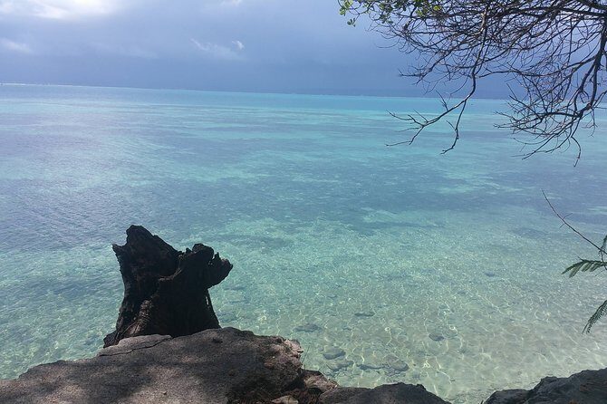 Prison Island Half-Day Tour from Zanzibar - Frequently Asked Questions