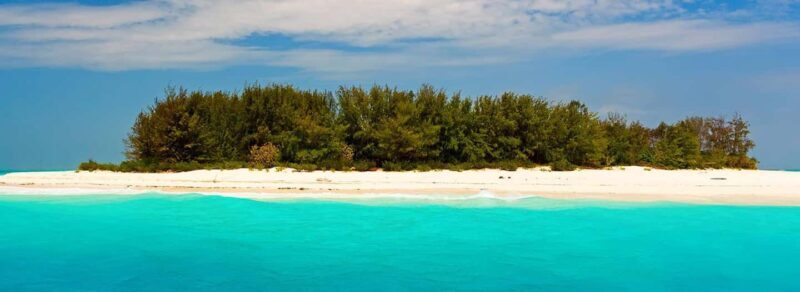 Prison Island half Day trip from stone town - Who Will Love This Tour?