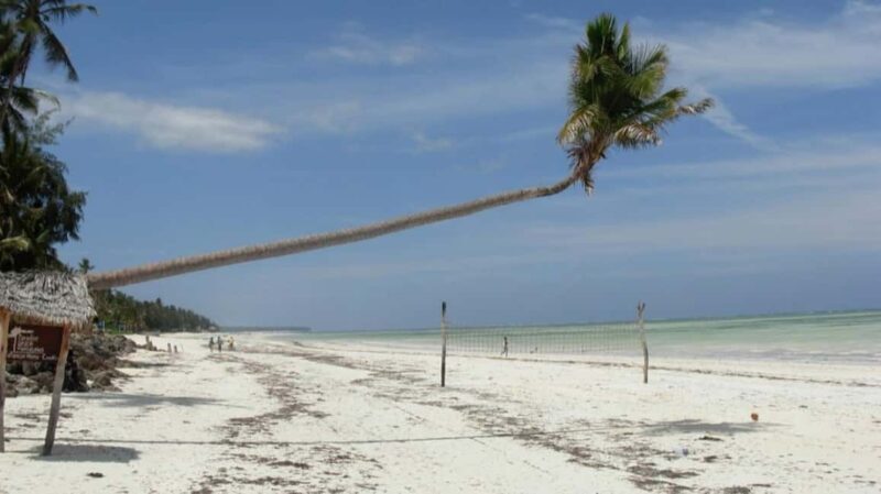 Prison Island, Jozani Forest, The Rock & Paje Beach Tour - Real-World Insights & Traveler Feedback