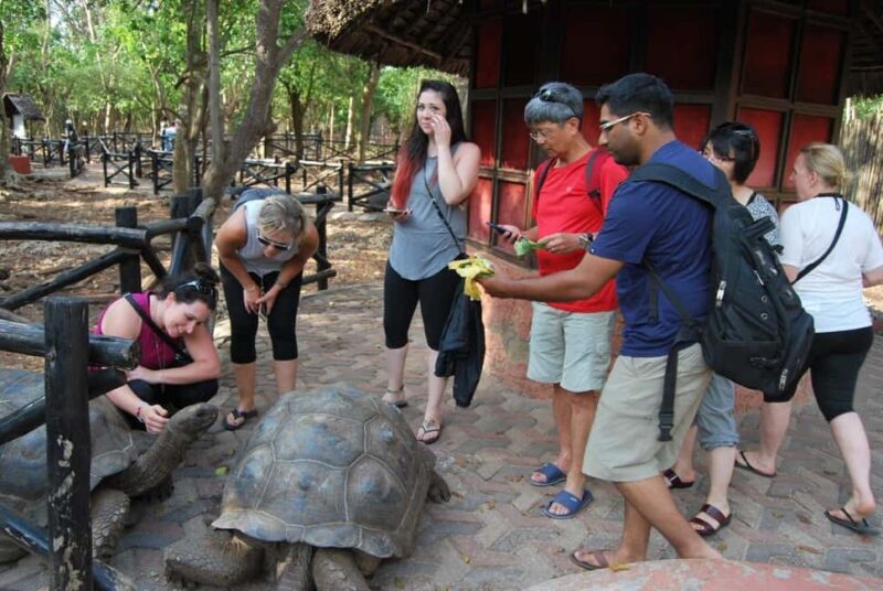 Prison Island Tour - Exploring Prison Island: What You Can Expect