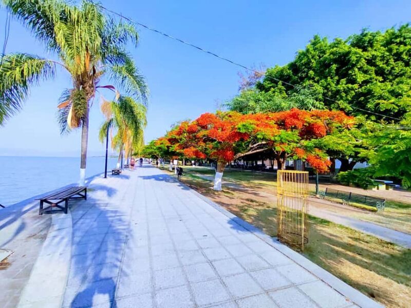 Privado: Rancho Vicente Fdez, Ajijic, Chapala y Tlaquepaque - An Authentic Day in Jalisco: The Itinerary Breakdown
