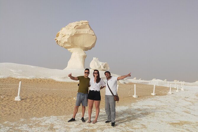Privat White desert and Bahariya oasis 2 days with camping - Reviews and Real Traveler Insights
