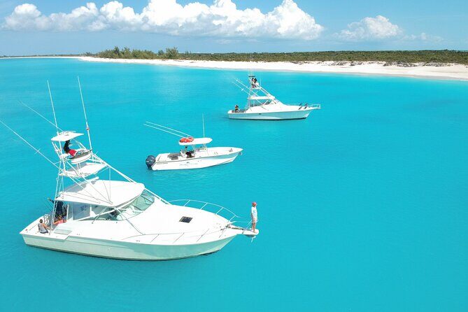 Private 1/2 Day Afternoon Charter Deep Sea Fishing on Wahooter's - Who Would Enjoy This Tour?