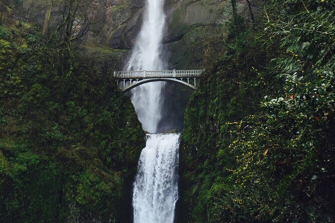 Private - 1/2 day Columbia River Gorge & Waterfalls Tour From Portland - Who Will Love This Tour?