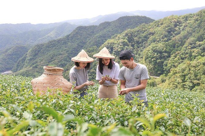 Private 1-Day Tea Experience in Taipei - A Closer Look at the Itinerary and What You Can Expect