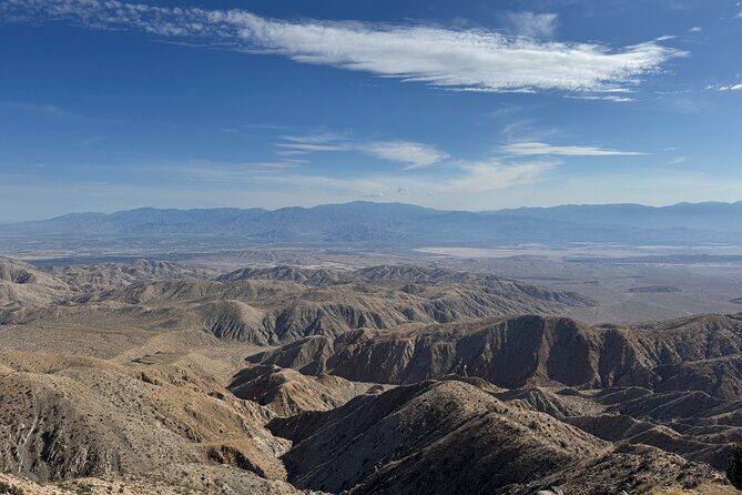 Private 1 Day Tour to Joshua Tree National Park - What Makes the Experience Stand Out?