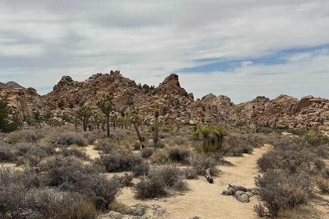 Private 1 Day Tour to Joshua Tree National Park - Who Is This Tour Best For?