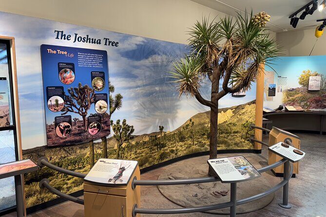 Private 1 Day Tour to Joshua Tree National Park - The Sum Up