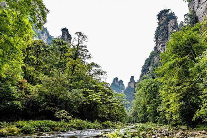 Private 1 Day Tour Zhangjiajie National Forest Park - An In-Depth Look at the Zhangjiajie Experience