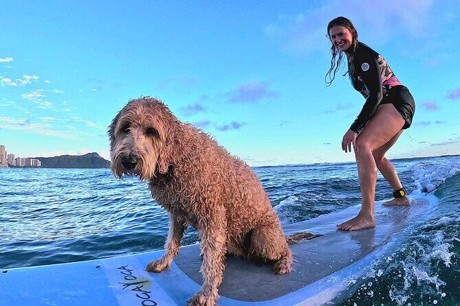 Private 1-on-1 Surf Lesson with Videos and Photos - FAQ
