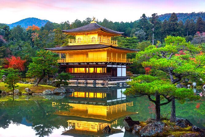 Private 10-hour chartered car service for Kyoto and Nara in Japan - Detailed Breakdown of the Tour Experience