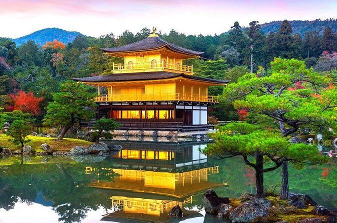 Private 10-hour chartered car service for Kyoto and Nara in Japan - Why This Tour Works for Different Travelers
