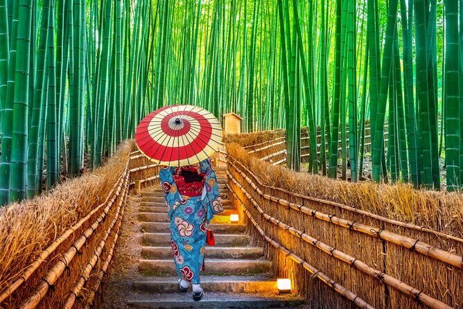 Private 10-hour chartered car service for Kyoto and Nara in Japan - Final Thoughts: Is It Worth It?