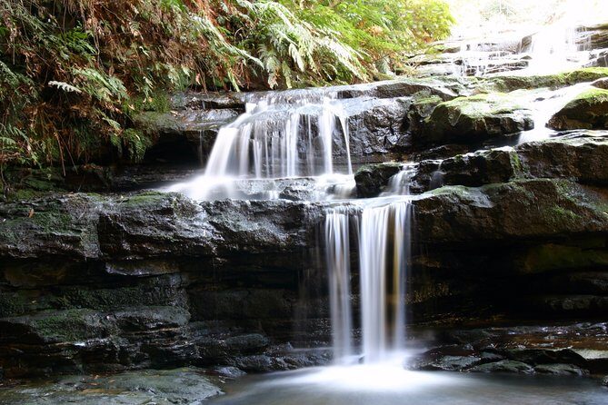 Private 10-hour Tour to Blue Mountains from Sydney - Hotel pick up & drop off - Frequently Asked Questions