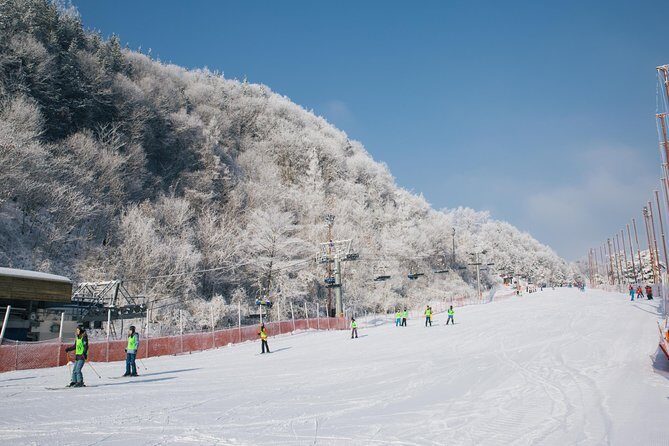 Private 1:1 Ski Lesson near Seoul, South Korea - The Practical Side: What to Expect and Tips
